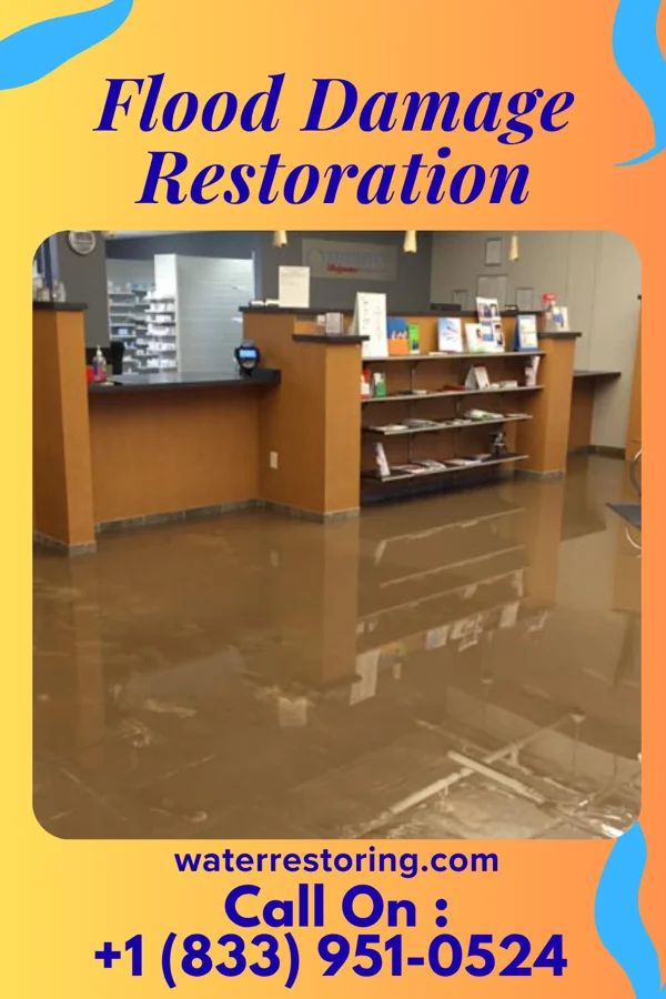 Flood Damage Restoration in Larke, PA