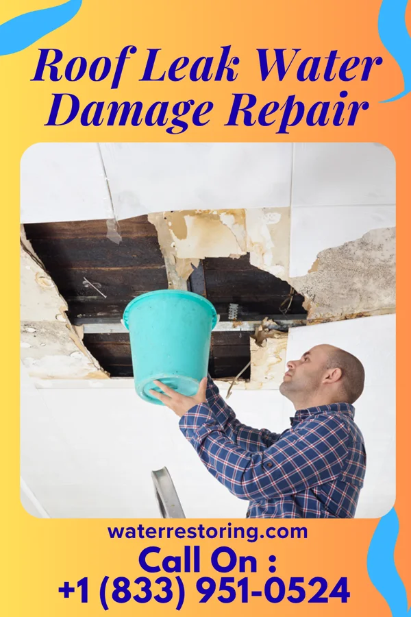 Roof Leak Water Damage Repair in Larke, PA
