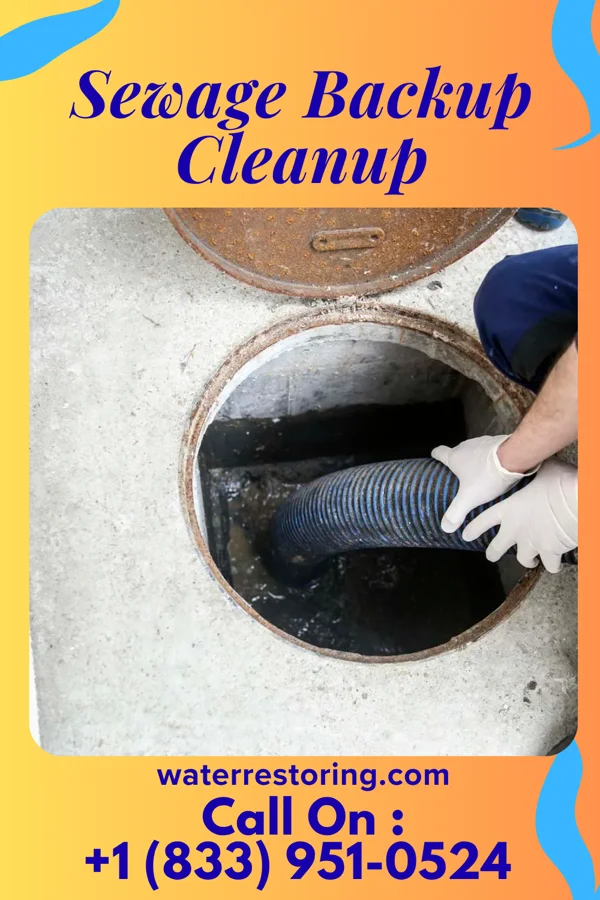 Sewage Backup Cleanup in Larke, PA