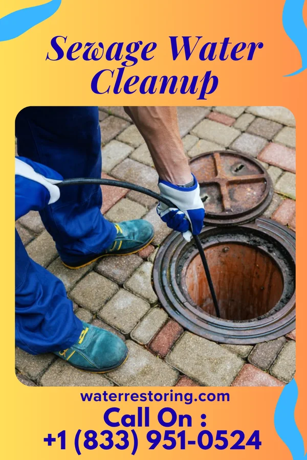 Sewage Water Cleanup in Larke, PA